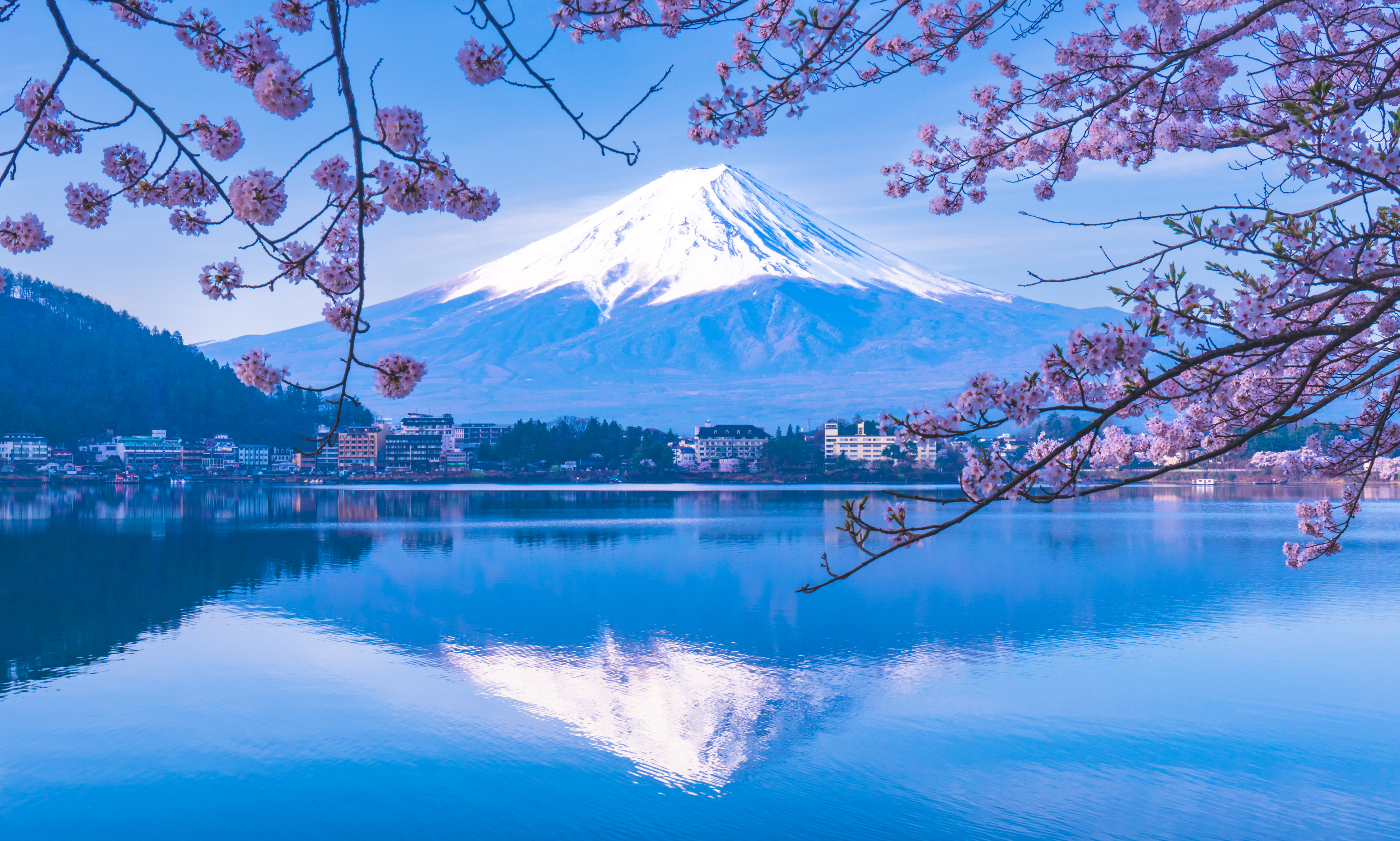信頼への信頼 河口湖＆富士山の桜スポット】春に行きたい絶景スポット5選 絵画/タペストリー