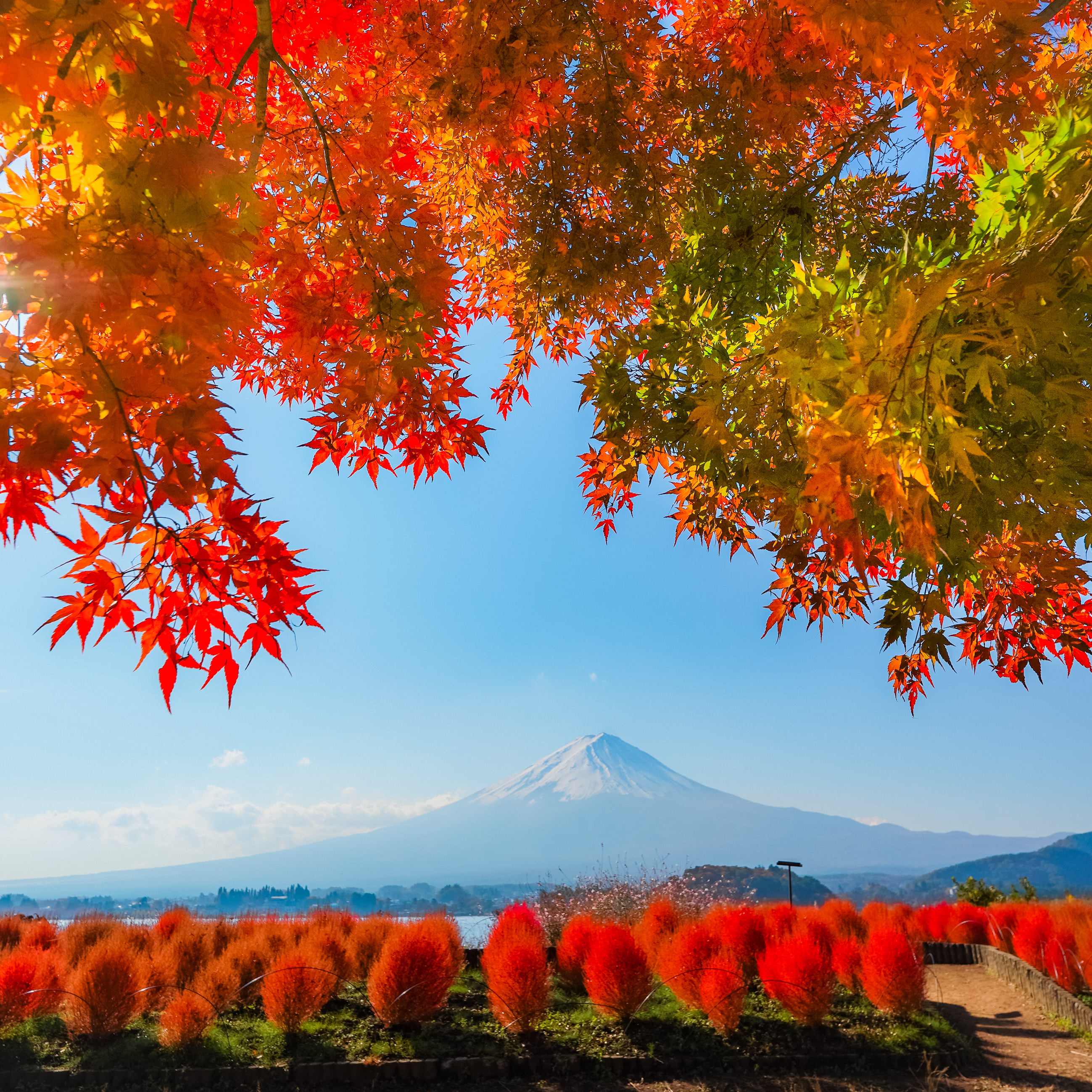もみじの名所と富士山の景観｜秋の山梨おすすめスポット | 山梨県